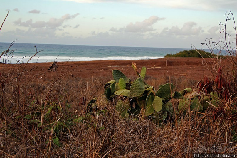 В погоне за закатом на Каена Поинт (Ka`ena Point)