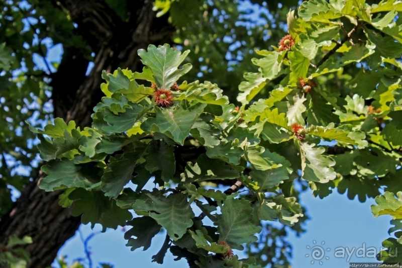 Гробница третьего императора династии Мин (ЮНЕСКО 1004-004)