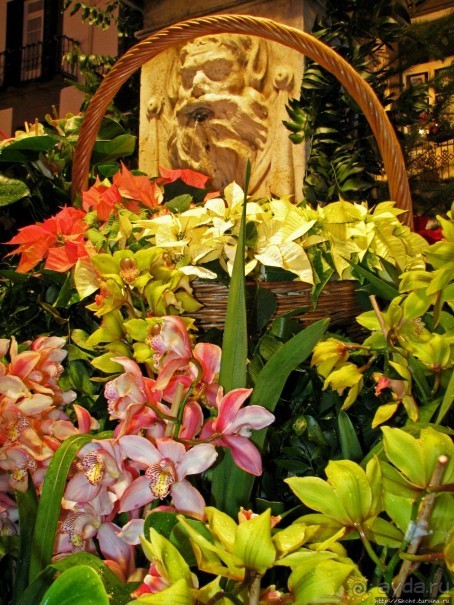 Рождество на Мадейре