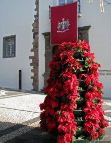 Рождество на Мадейре