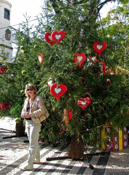 Рождество на Мадейре