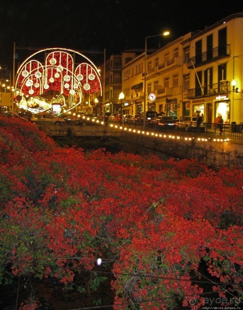 Рождество на Мадейре