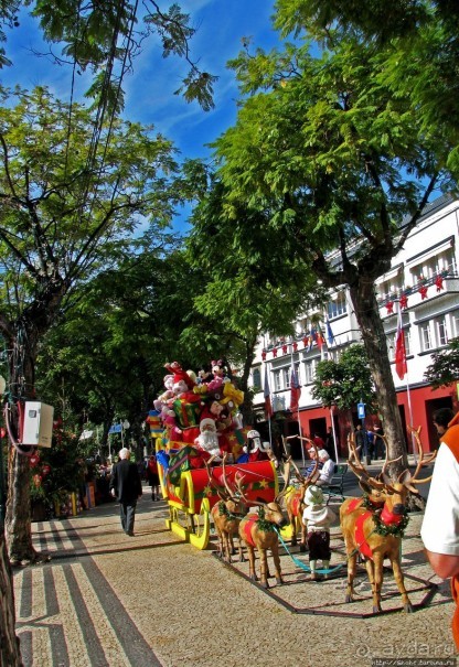 Рождество на Мадейре