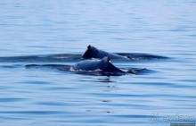 Ух ты, мы вышли из бухты