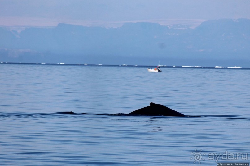 Ух ты, мы вышли из бухты