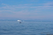 Ух ты, мы вышли из бухты