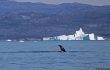 Ух ты, мы вышли из бухты