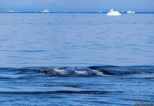 Ух ты, мы вышли из бухты