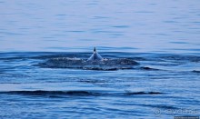 Ух ты, мы вышли из бухты