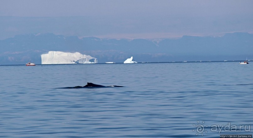 Ух ты, мы вышли из бухты