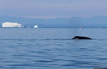 Ух ты, мы вышли из бухты