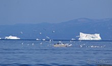 Ух ты, мы вышли из бухты