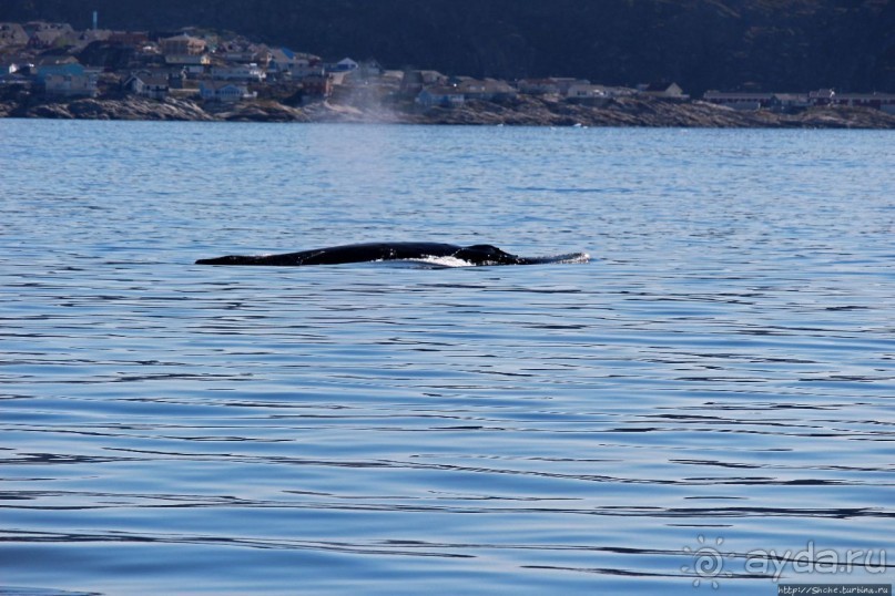 Ух ты, мы вышли из бухты