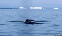 Ух ты, мы вышли из бухты