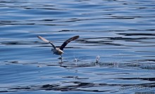 Ух ты, мы вышли из бухты