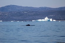 Ух ты, мы вышли из бухты