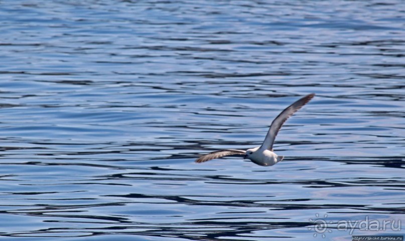 Ух ты, мы вышли из бухты