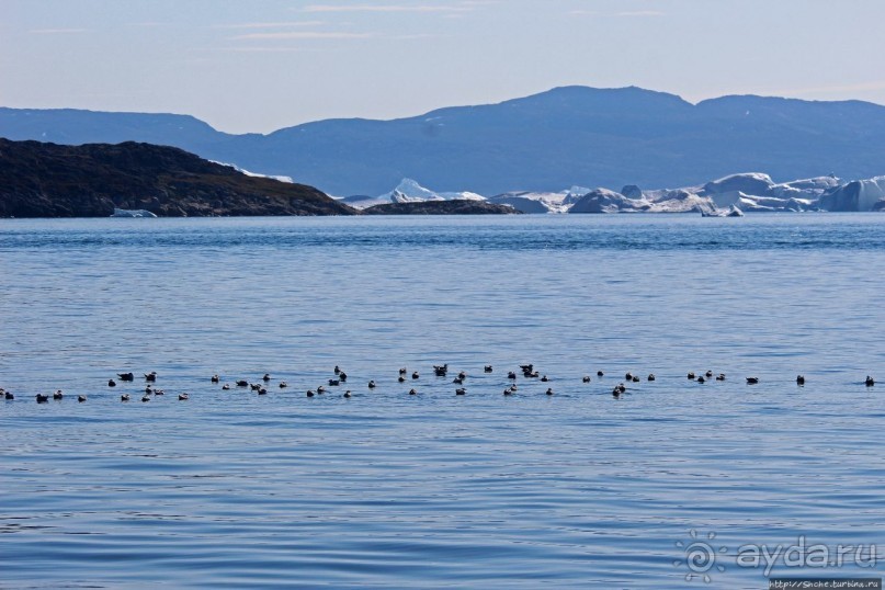 Ух ты, мы вышли из бухты