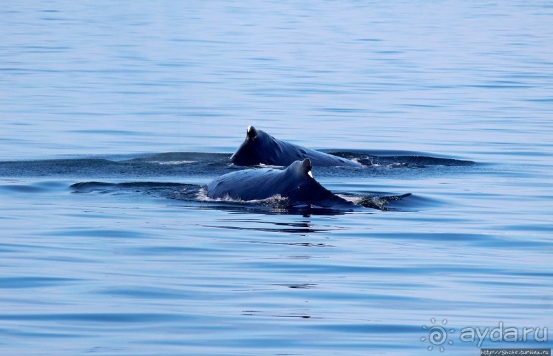 Ух ты, мы вышли из бухты