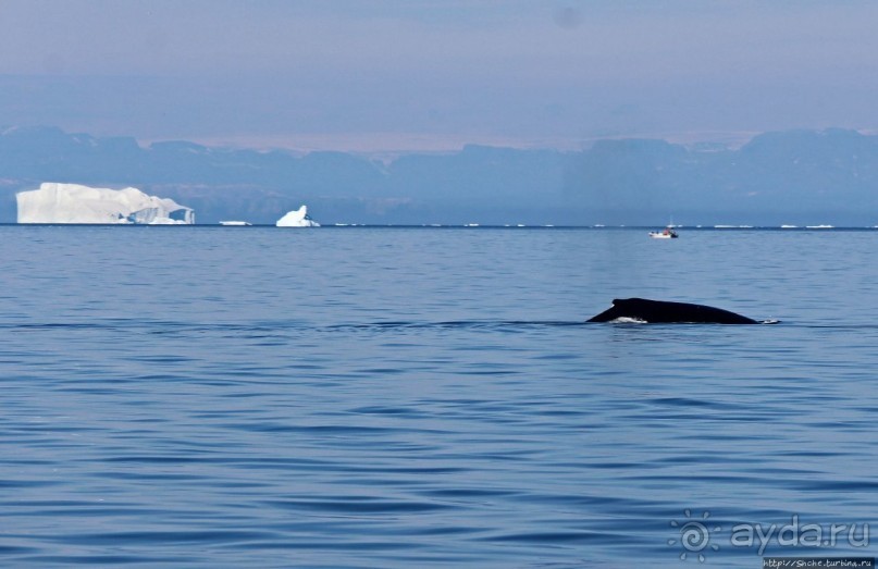 Ух ты, мы вышли из бухты