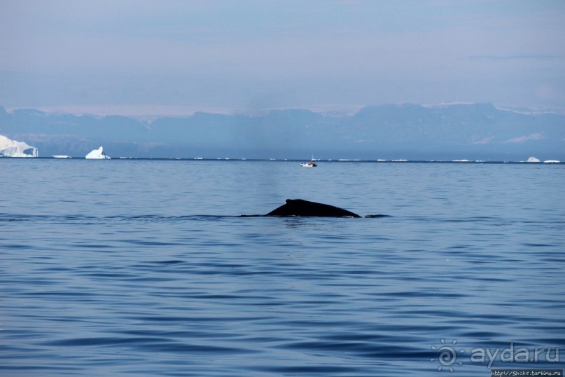 Ух ты, мы вышли из бухты