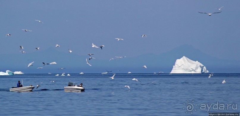 Ух ты, мы вышли из бухты