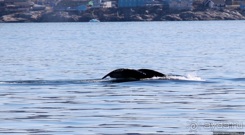 Ух ты, мы вышли из бухты