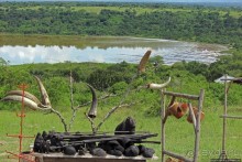 Львица на кактусе, или сафари по парку Королевы Елизаветы