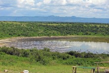 Львица на кактусе, или сафари по парку Королевы Елизаветы