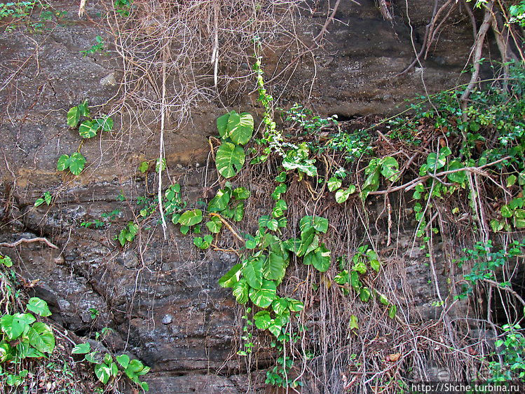 Кусочек дикого берега на острове Нуси Бе