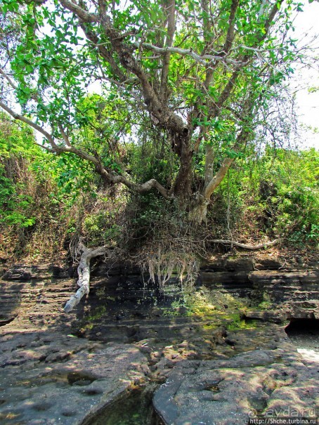 Кусочек дикого берега на острове Нуси Бе