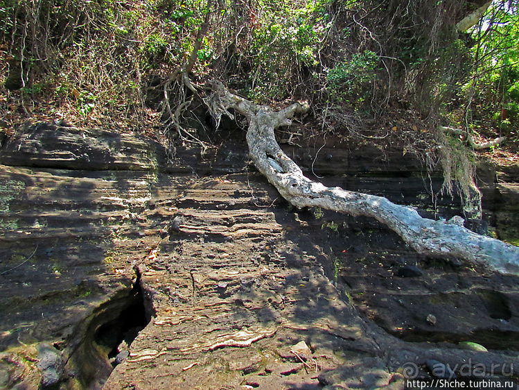 Кусочек дикого берега на острове Нуси Бе