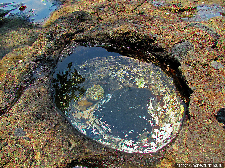 Кусочек дикого берега на острове Нуси Бе