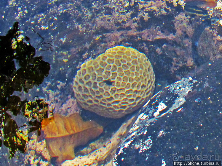 Кусочек дикого берега на острове Нуси Бе