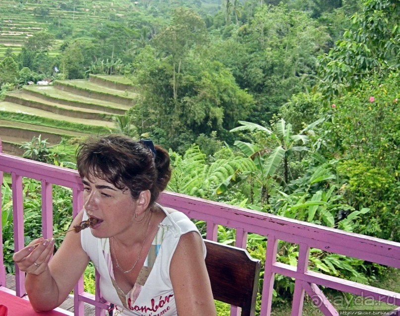 Оросительная система Субак на Бали (памятник ЮНЕСКО №1194)