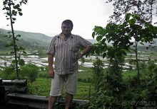 Оросительная система Субак на Бали (памятник ЮНЕСКО №1194)