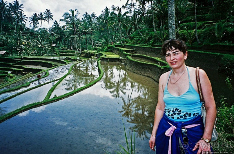 Оросительная система Субак на Бали (памятник ЮНЕСКО №1194)