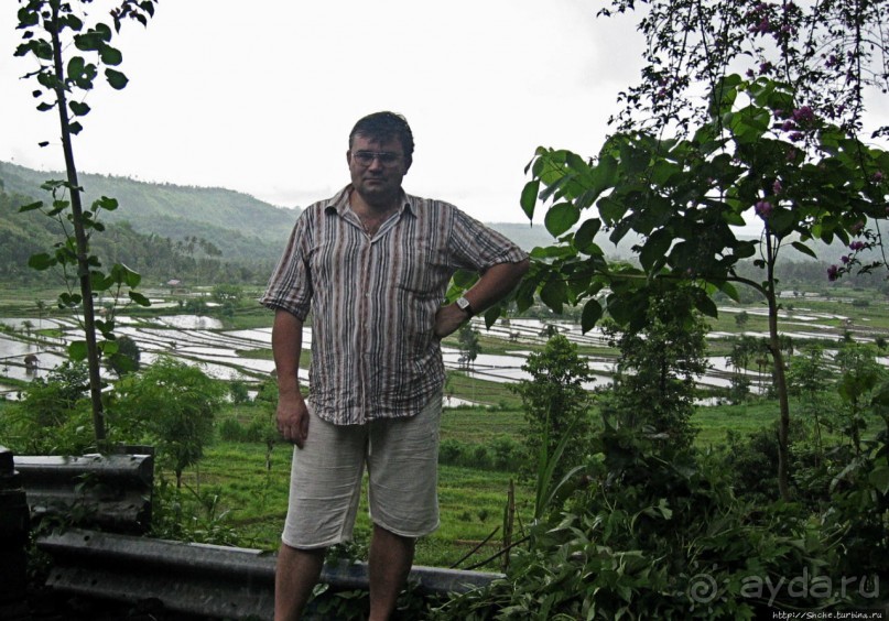 Оросительная система Субак на Бали (памятник ЮНЕСКО №1194)