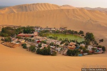 Крошечный оазис среди бескрайних песков