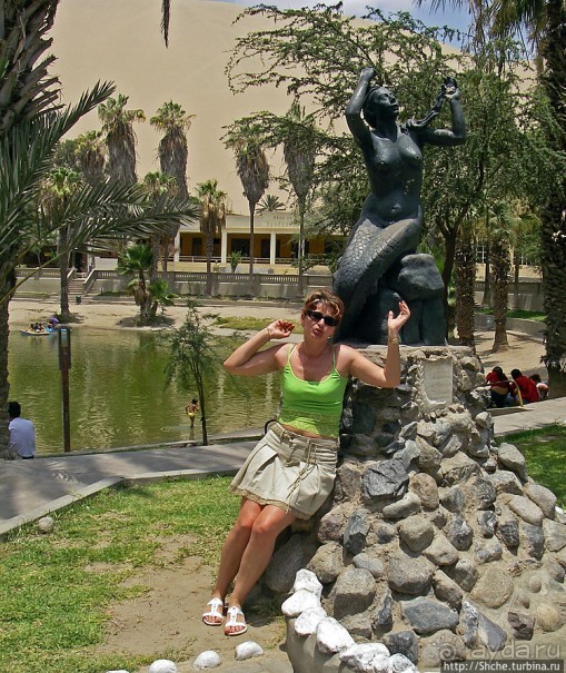 Крошечный оазис среди бескрайних песков