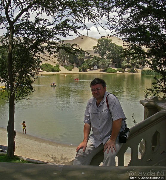 Крошечный оазис среди бескрайних песков