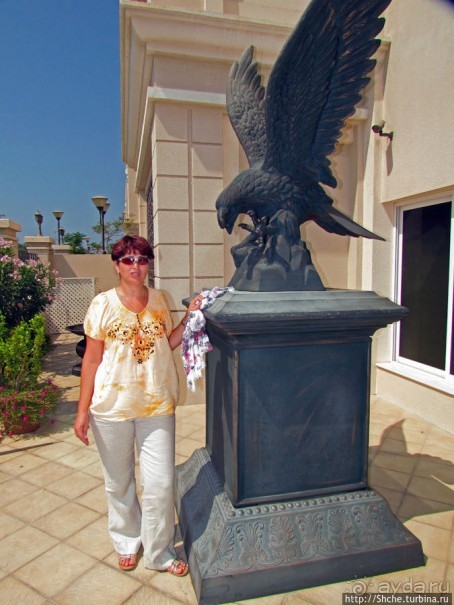 Забавная уловка профессиональных гидов