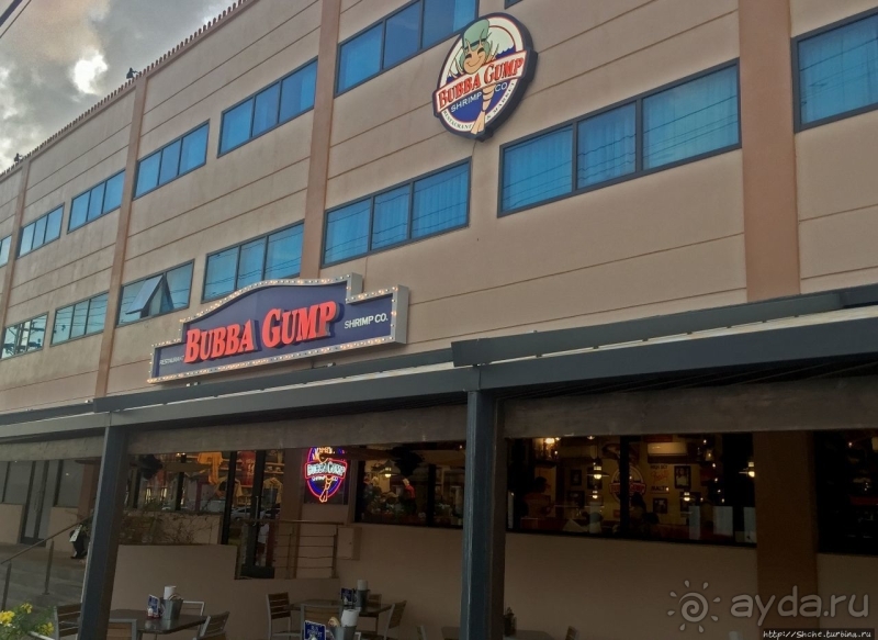 Беги, Форест, беги