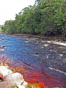 На пути к Анхелю... по реке Кереп