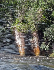 На пути к Анхелю... по реке Кереп