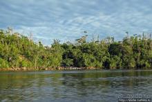 На пути к Анхелю... по реке Кереп