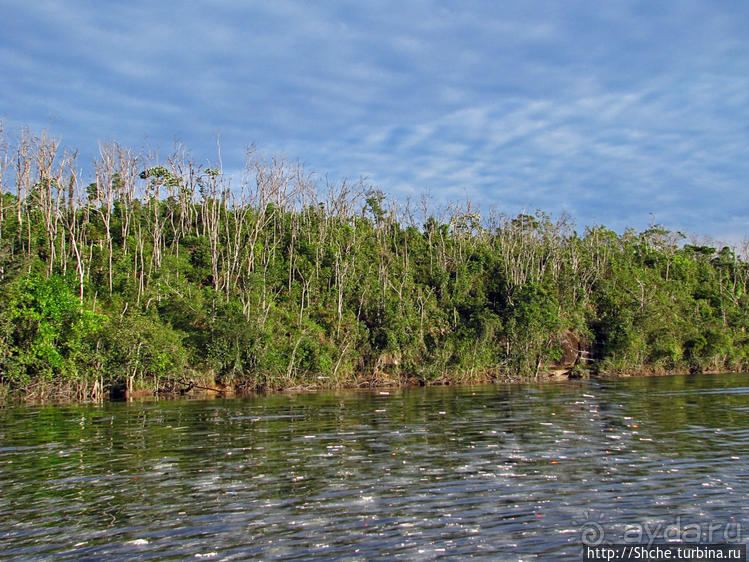 На пути к Анхелю... по реке Кереп