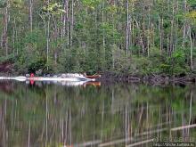 На пути к Анхелю... по реке Кереп