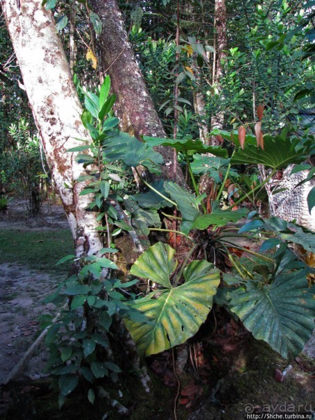 На пути к Анхелю... по реке Кереп