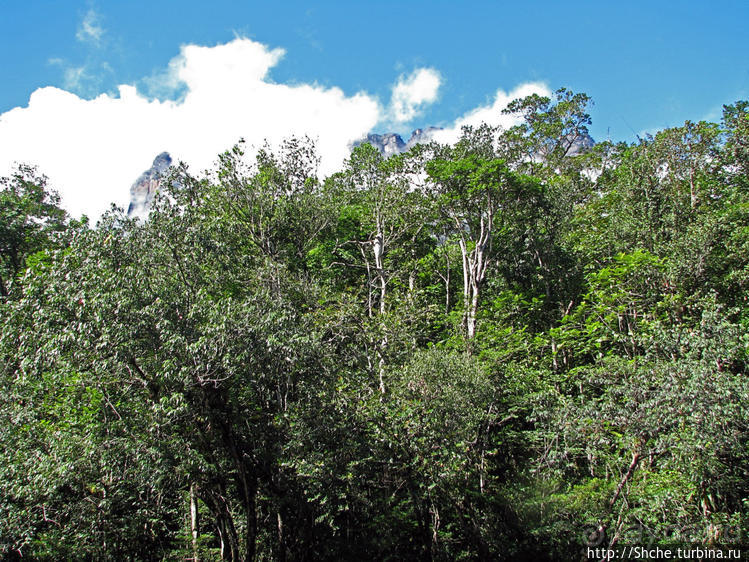 На пути к Анхелю... по реке Кереп
